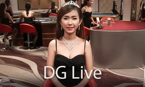 SS777 Bingo Community and Social Features